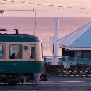 成熟人妻AV无码专区A片麻豆
